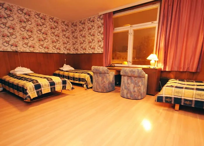 Iisalmen Seurahuone فندق